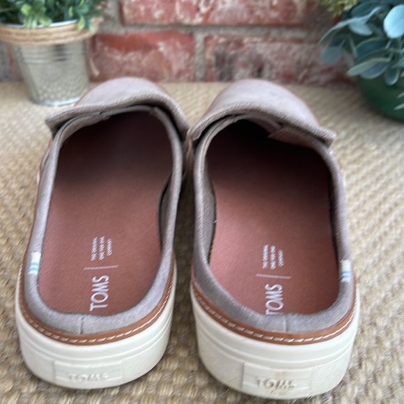 Beautiful Toms suede shoes size 11 - Picture 6 of 8